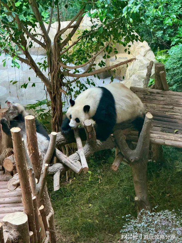 川适合几月份去旅游景点 玩转精华！九游会J9成都的著名景点推荐 四(图1)